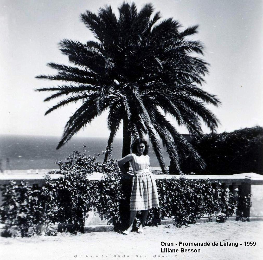 PL c- 117- Promenade de Letang C.jpg